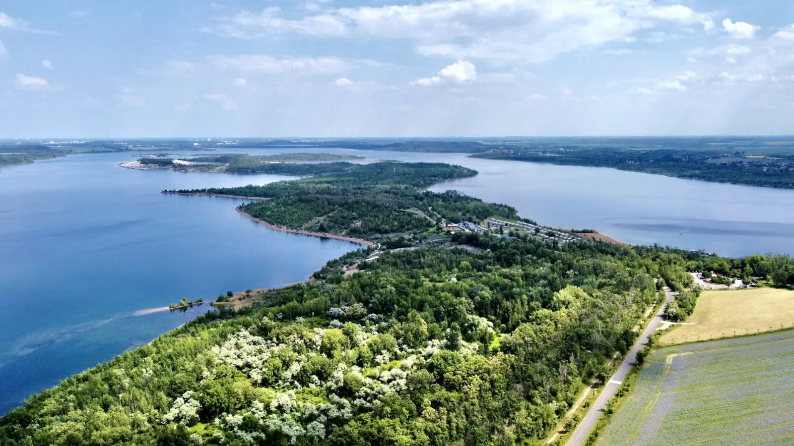 Luftbild vom Geiseltalsee bei Braunsbedra mit bewaldeter Halbinsel, Ufer und Feldern
